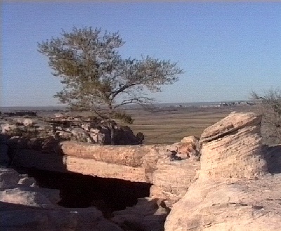 203 PF Agate Bridge