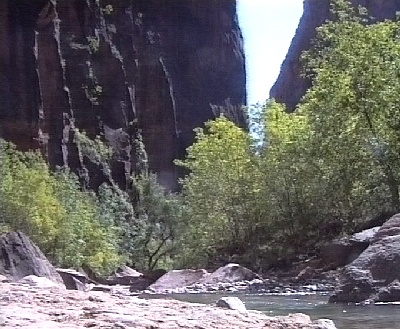 406 Zion Fluss