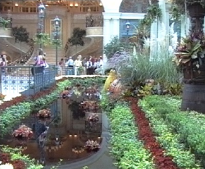 433 LV Bellagio Blumen