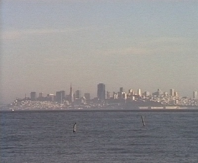 599 SF Skyline